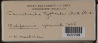 Image Associated With the Occurence